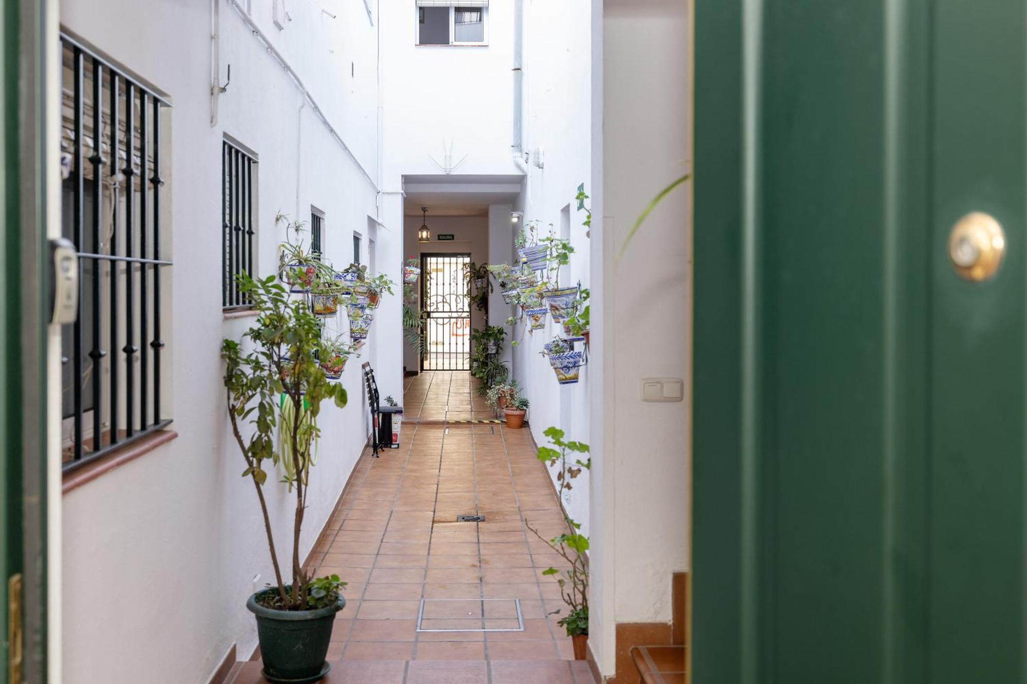 Apartamentos Trianasol Σεβίλλη Εξωτερικό φωτογραφία